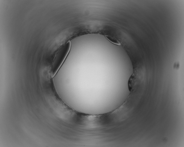 X0000112850184200909041538