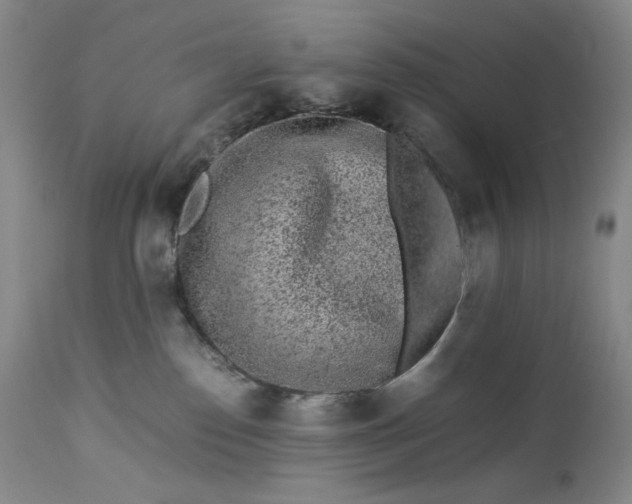 X0000112850186200909041538