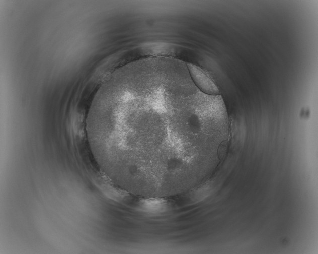 X0000112850189200909041538