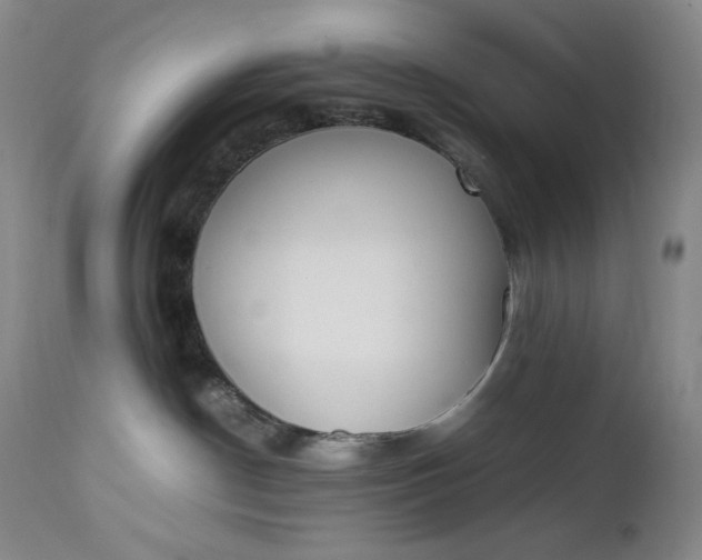 X0000112850190200909041538