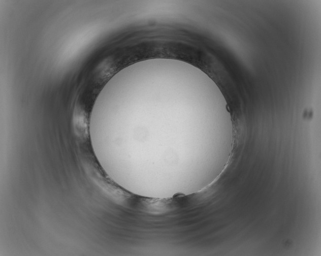 X0000112850191200909041538