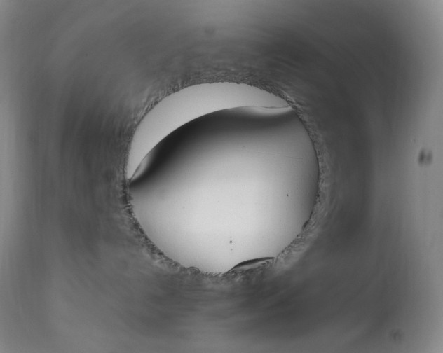 X0000112850192200909041538