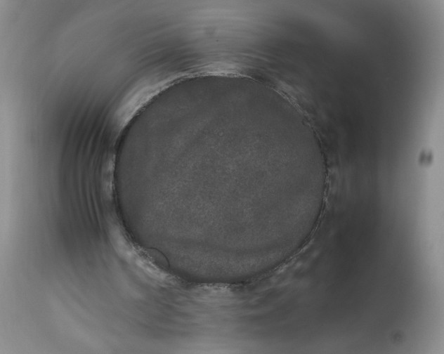 X0000112850194200909041537