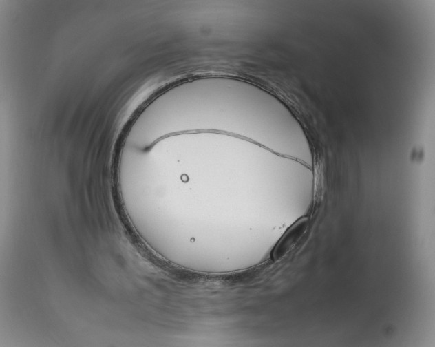 X0000112850195200909041537