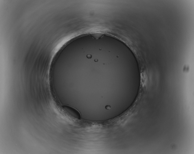 X0000112850196200909041537