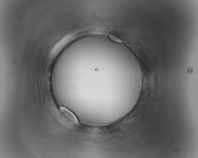 X0000112850197200909041537