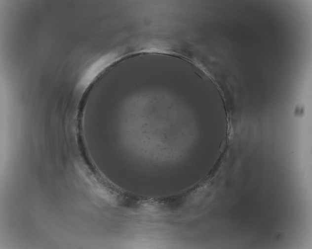 X0000112850199200909041537