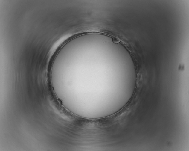 X0000112850200200909041537