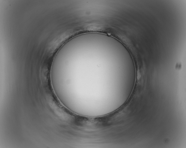 X0000112850201200909041537