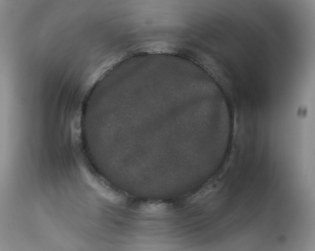 X0000112850202200909041537