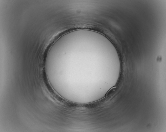 X0000112850203200909041537