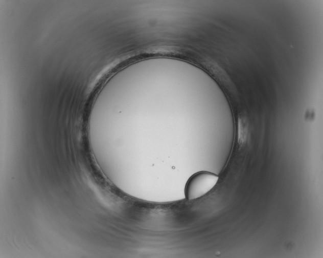 X0000112850204200909041537