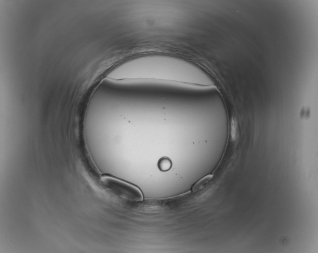 X0000112850205200909041537