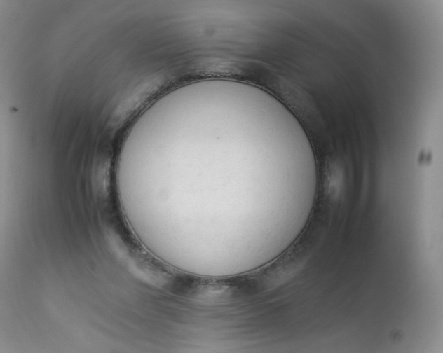 X0000112850206200909041537