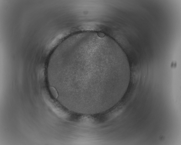 X0000112850207200909041537