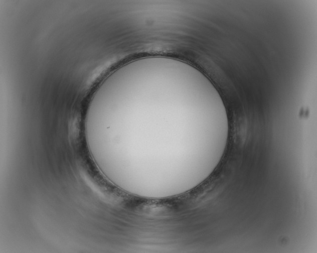 X0000112850208200909041537