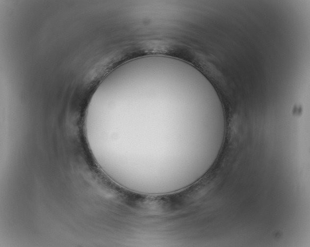 X0000112850209200909041537