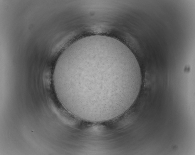 X0000112850210200909041537