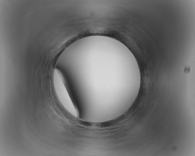 X0000112850211200909041537