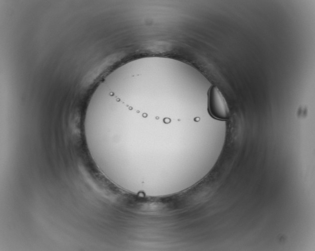 X0000112850212200909041537