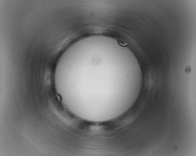 X0000112850216200909041537