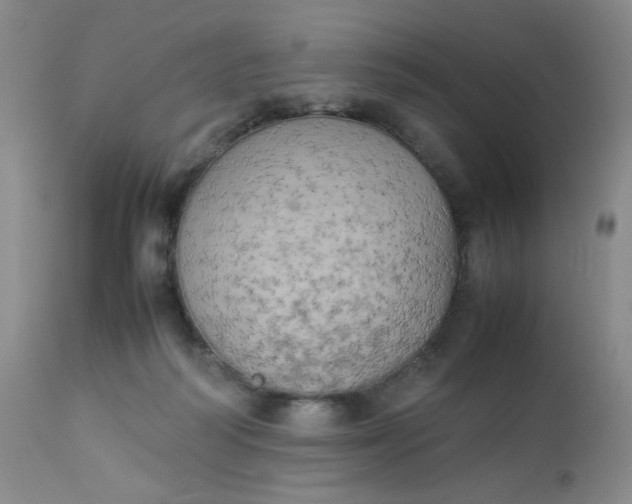 X0000112850218200909041537