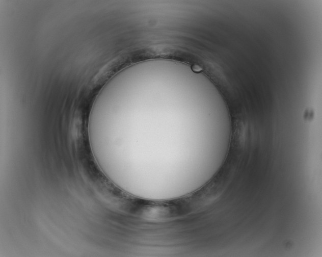 X0000112850220200909041537