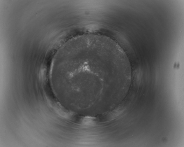 X0000112850222200909041537