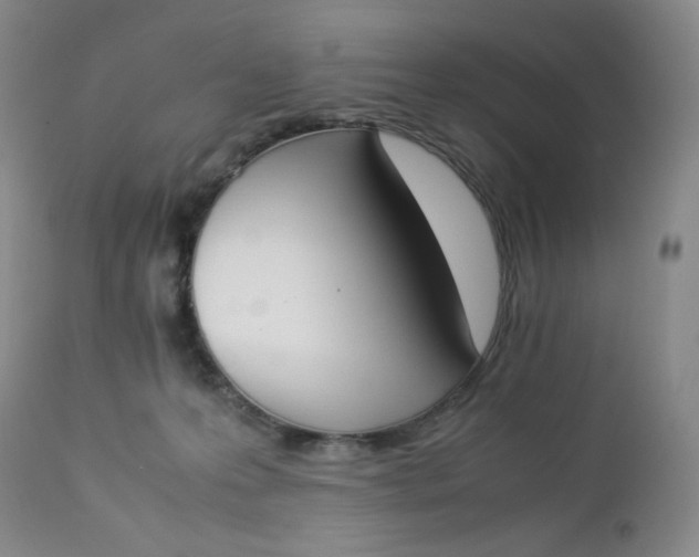 X0000112850223200909041537