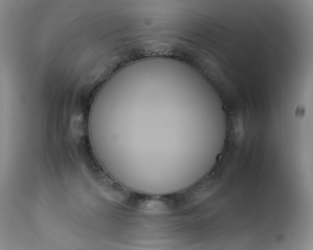 X0000112850224200909041537