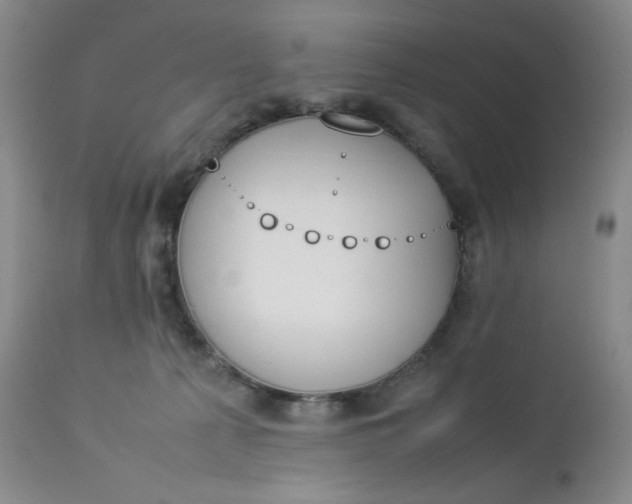 X0000112850225200909041537