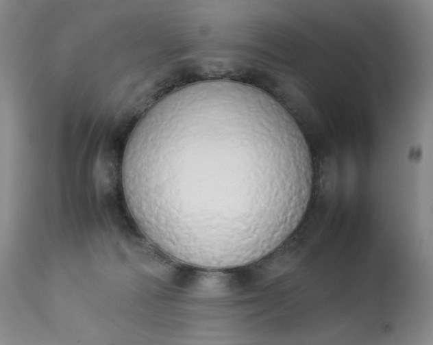 X0000112850226200909041537