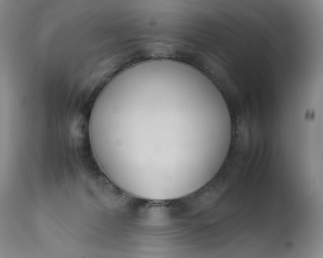 X0000112850228200909041537