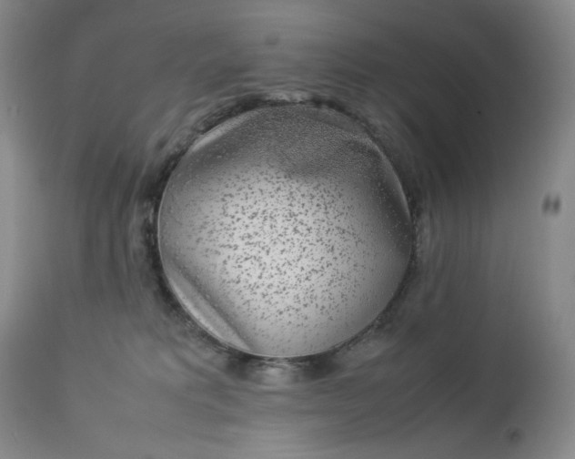 X0000112850229200909041537