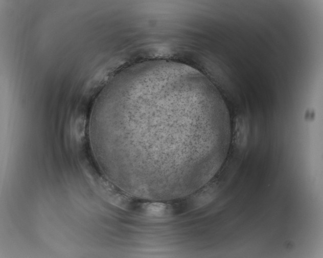 X0000112850230200909041537