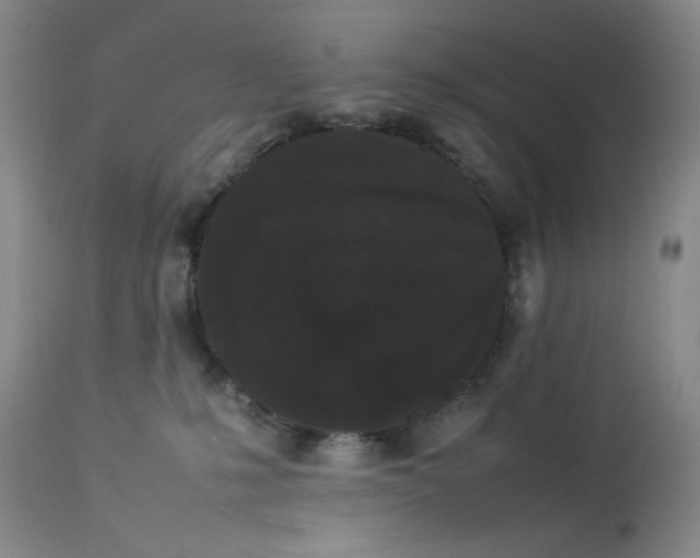 X0000112850231200909041537