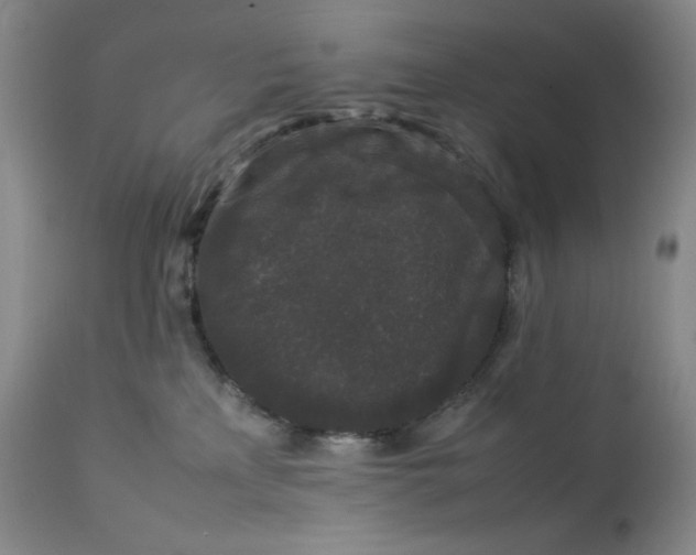 X0000112850233200909041537