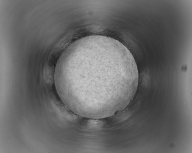 X0000112850234200909041537