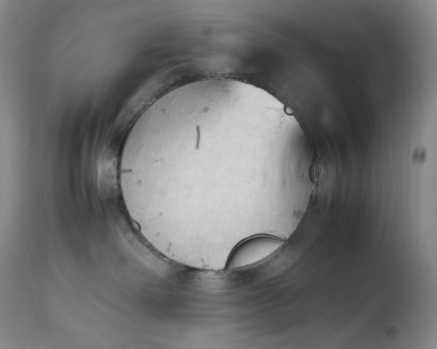 X0000112850238200909041537