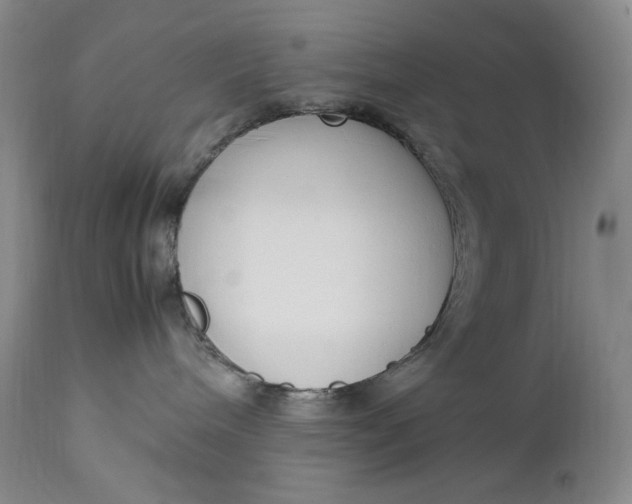 X0000112850240200909041537