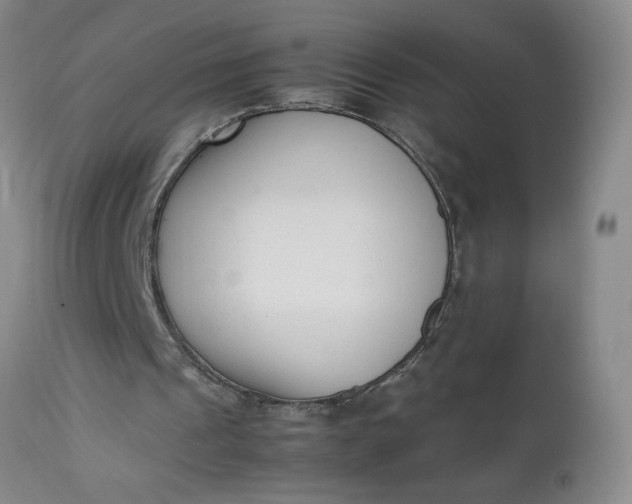 X0000112850241200909041536