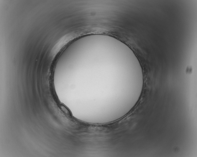 X0000112850242200909041536