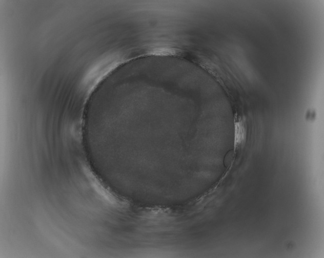 X0000112850243200909041536