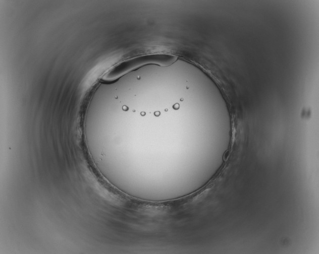 X0000112850245200909041536