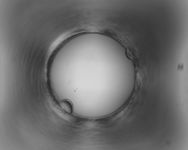 X0000112850246200909041536