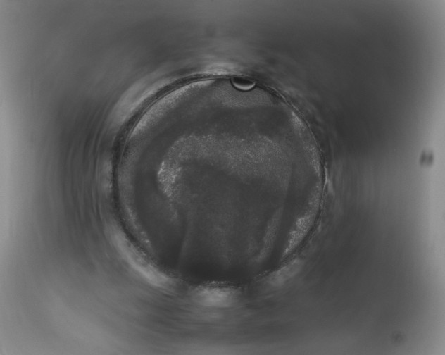 X0000112850247200909041536