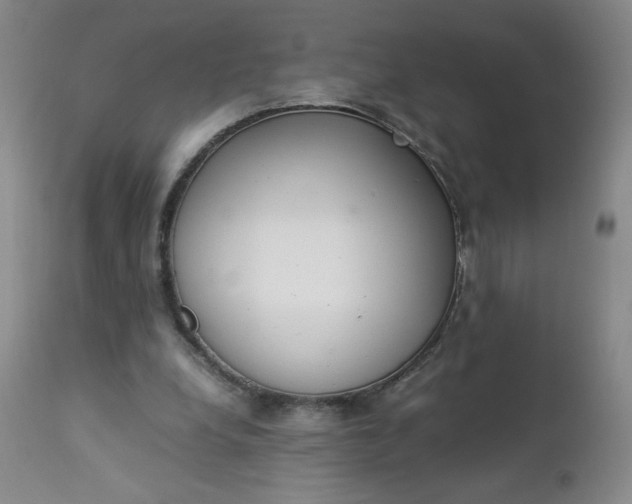 X0000112850248200909041536