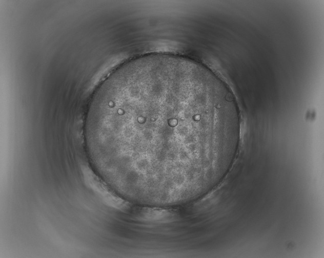 X0000112850249200909041536