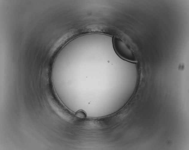 X0000112850250200909041536