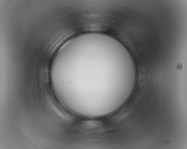 X0000112850251200909041536